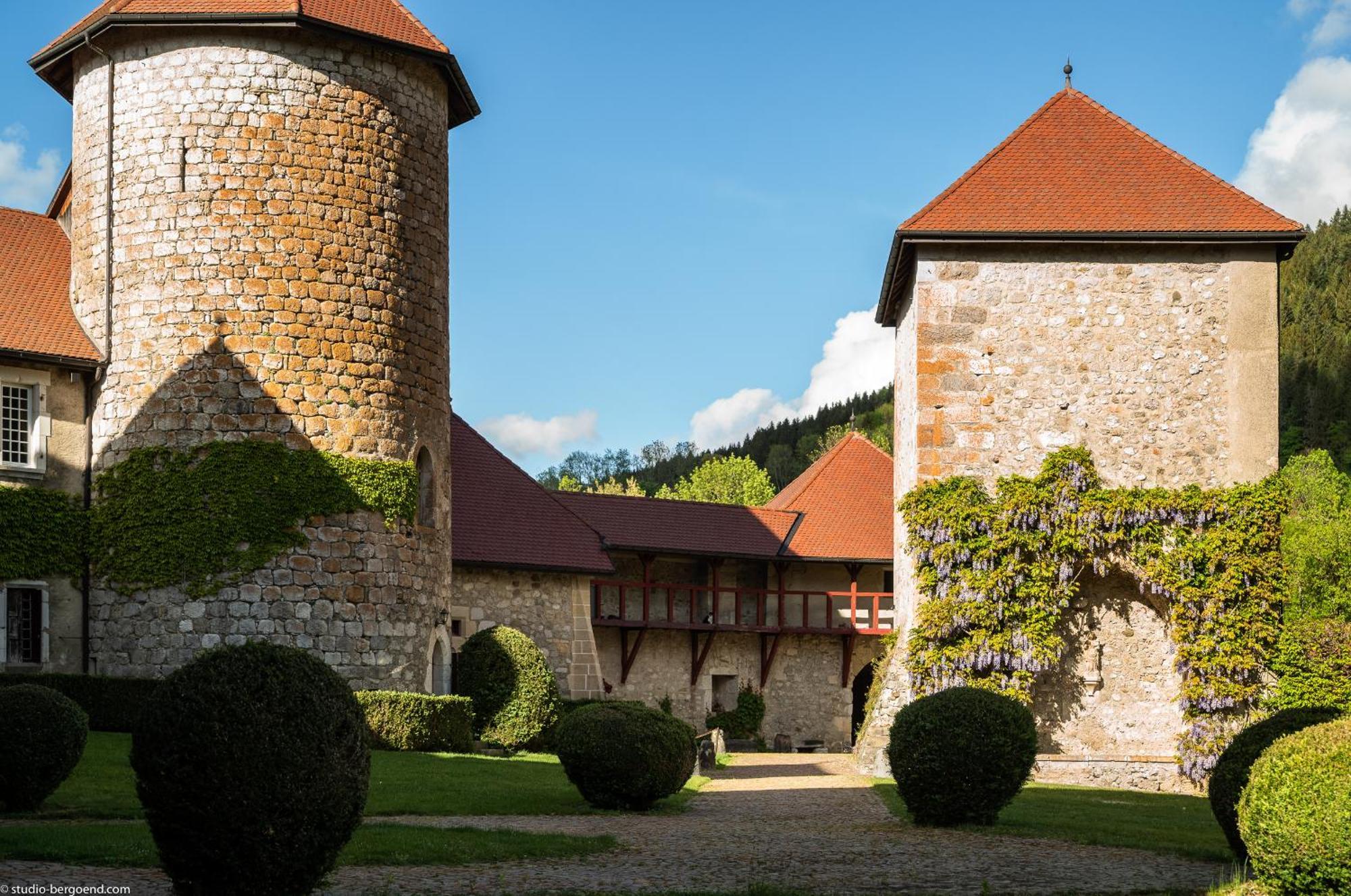 Chateau De Thorens Εξωτερικό φωτογραφία